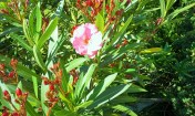 20140422_114406