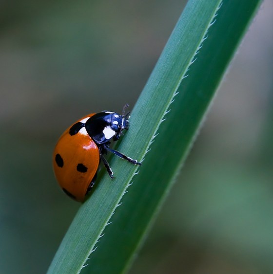 adbdbb06-7ba9-4aac-8787-0af095d59a5b