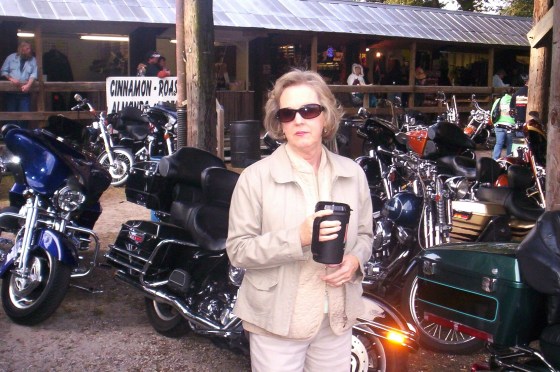 Original Transfer 335