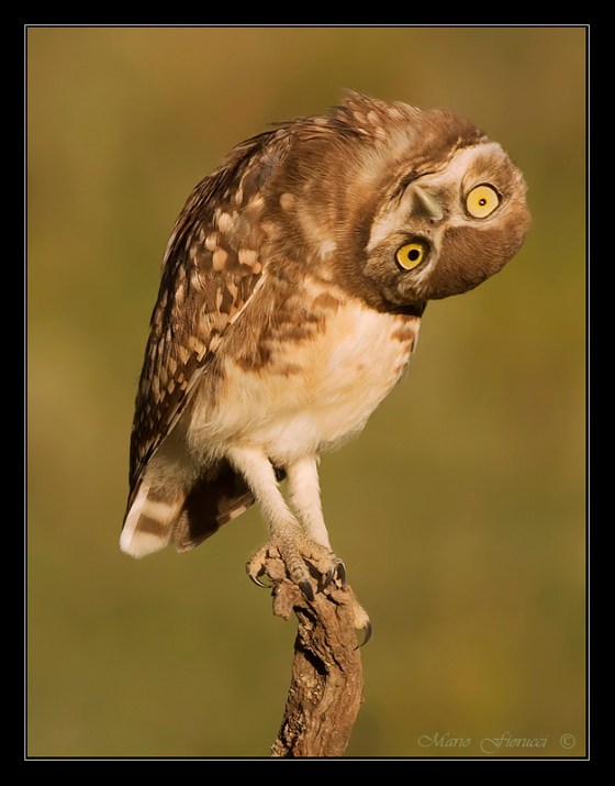 e47982cb-3309-483f-ae31-ec0ebb6c3e95