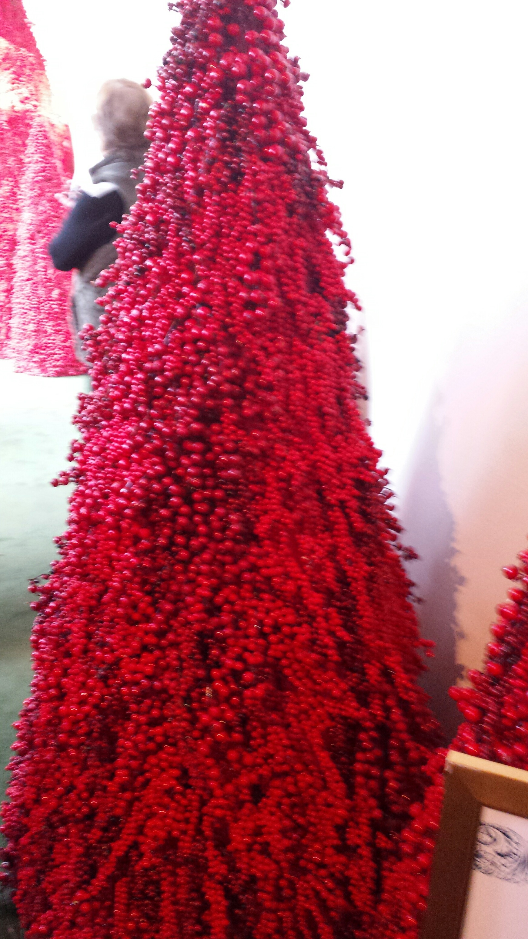 20181213_094104_resized