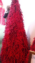 20181213_094104_resized