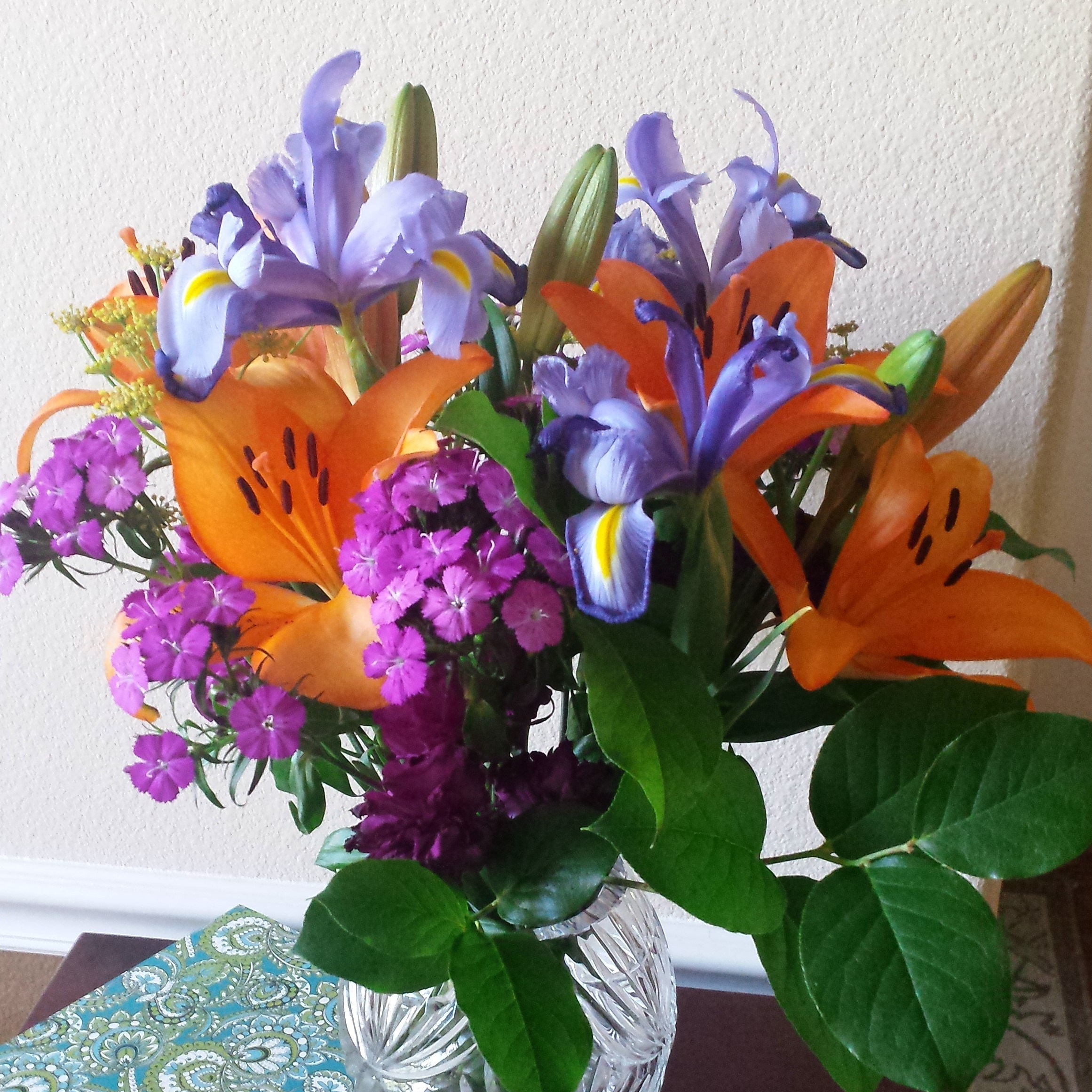 456 pic from cell may 2019 154